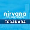 This increase of recent business is altering the dynamic of town, sparking curiosity in residents and vacationers. . Nirvana escanaba